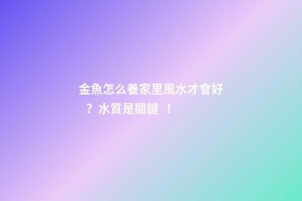 金魚怎么養家里風水才會好？水質是關鍵！
